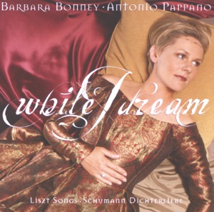 Cover of While I dream