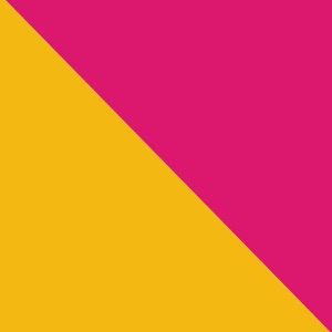 Cover of Flag