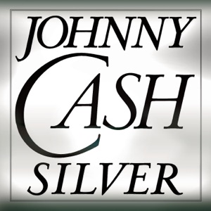 Cover of Silver