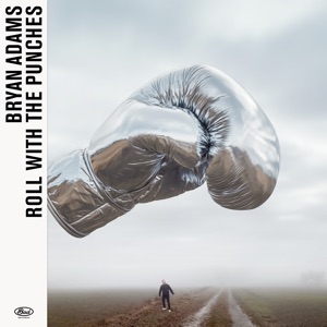 Cover of Roll With the Punches
