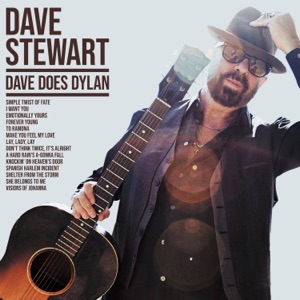 Cover of Dave Does Dylan