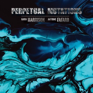 Cover of Perpetual Mutations