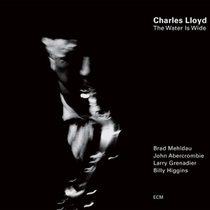 Cover of The Water Is Wide