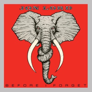 Cover of Before I Forget