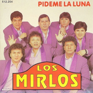 Hoes van Pideme La Luna