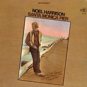 Hoes van Santa Monica Pier