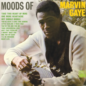 Cover of The Soulful Moods of Marvin Gaye