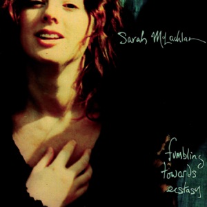 Cover of Fumbling Towards Ecstasy