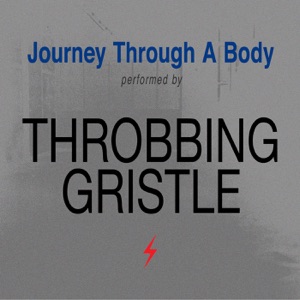 Cover of Journey Through a Body