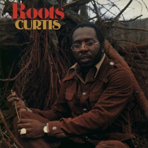 Cover of Roots