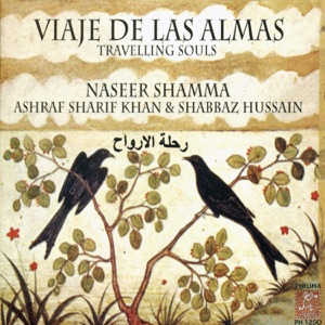 Cover of Viaje de las almas (Travelling Souls)