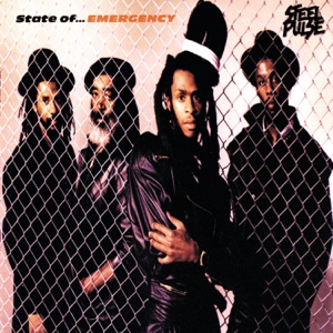 Cover of State of Emergency