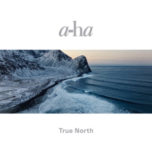 Cover of True North