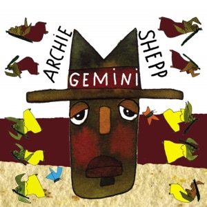 Hoes van Gemini