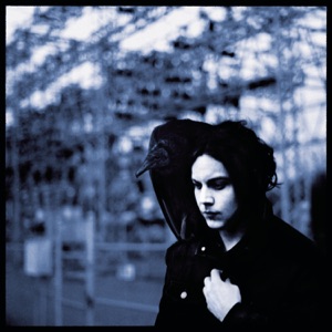 Cover of Blunderbuss