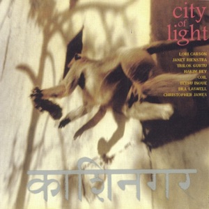 Cover of City of Light
