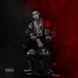 Cover of LLNM2