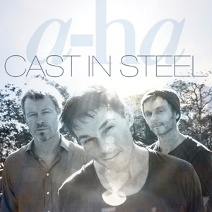 Hoes van Cast in Steel