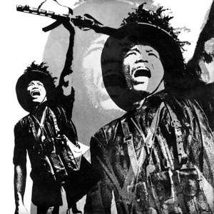 Cover of X-Vietnam