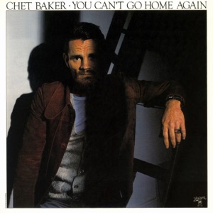 Cover of You Can’t Go Home Again