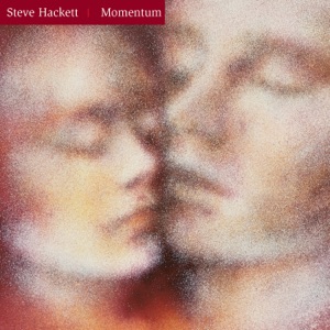 Cover of Momentum