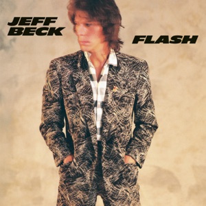 Cover of Flash
