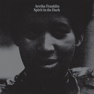 Cover of Spirit in the Dark