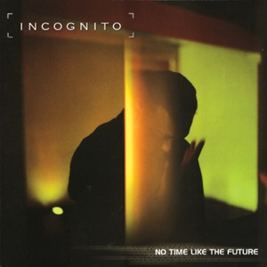 Cover of No Time Like the Future