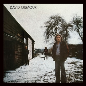 Cover of David Gilmour