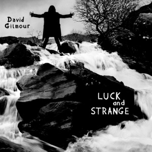 Cover of Luck and Strange