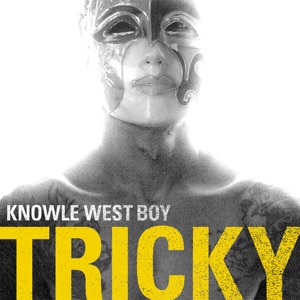 Cover of Knowle West Boy