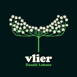 Hoes van Vlier
