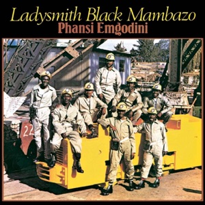 Cover of Phansi Emgodini