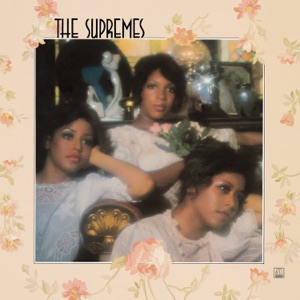 Hoes van Meet the Supremes