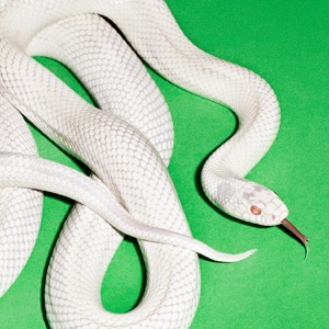 Cover of private music