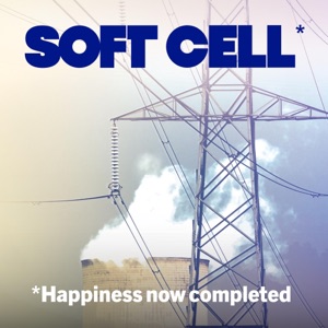 Cover of *Happiness Now Completed