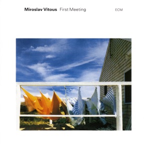 Cover of First Meeting