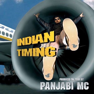 Cover of Indian Timing