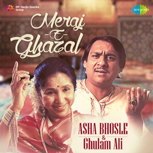 Cover of Meraj E Ghazal
