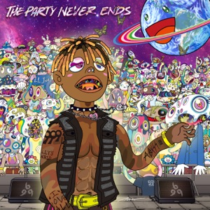 Cover of The Party Never Ends