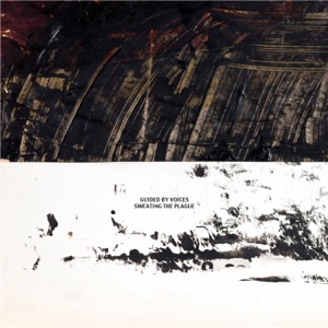 Cover of Sweating the Plague