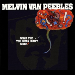 Cover of What the.... You Mean I Can't Sing?!