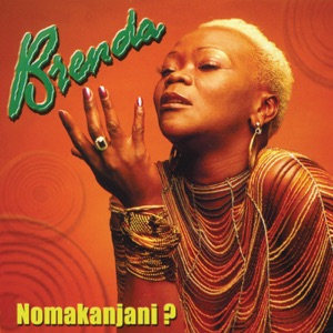 Cover of Nomakanjani?