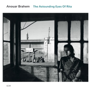 Cover of The Astounding Eyes of Rita