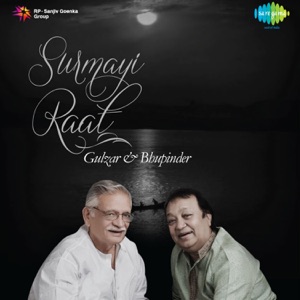 Cover of Surmayi Raat