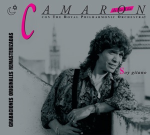 Cover of Soy gitano