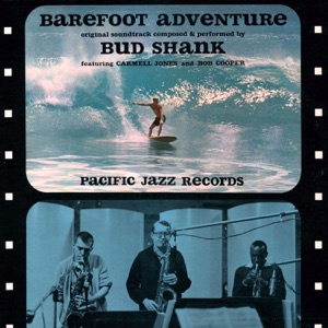 Cover of Barefoot Adventure