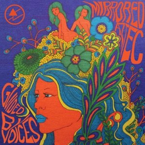 Cover of Mirrored Aztec