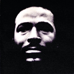 Cover of Vulnerable
