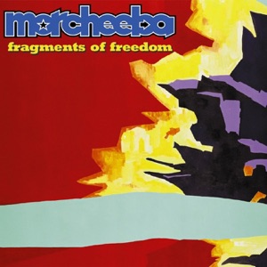 Hoes van Fragments of Freedom